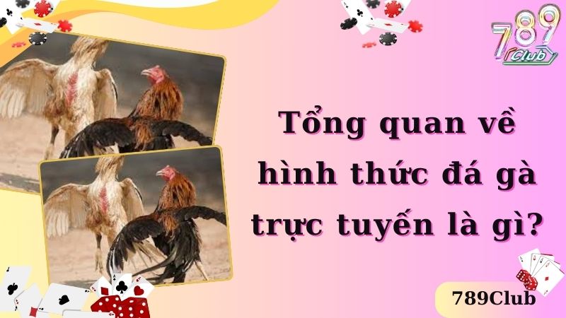 Tổng quan về hình thức đá gà trực tuyến là gì?