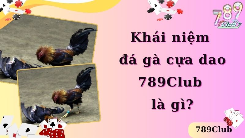 Khái niệm đá gà cựa dao 789Club là gì?