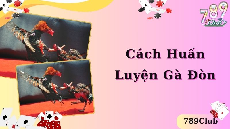 Cách huấn luyện đá gà đòn là gì