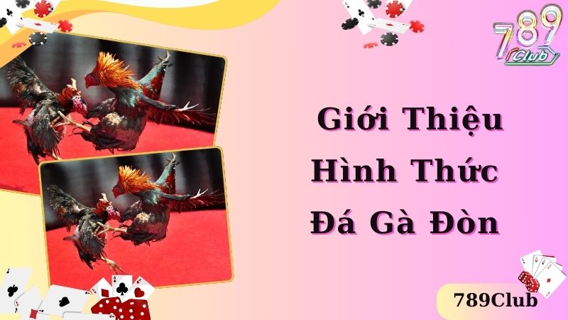 Giới thiệu loại hình cá cược đá gà đòn là gì 