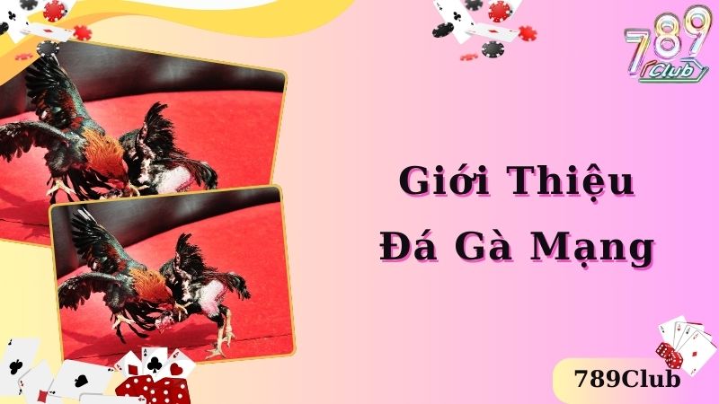 Giới thiệu hình thức cá cược đá gà mạng