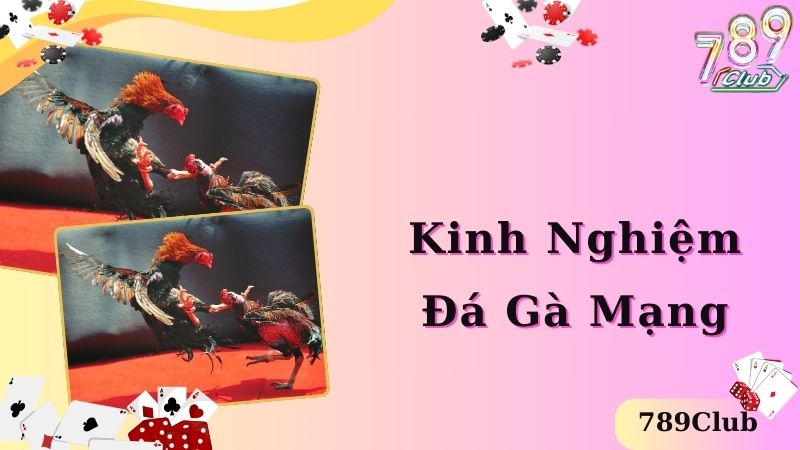 Kinh nghiệm chơi đá gà mạng giúp bet thủ luôn thắng