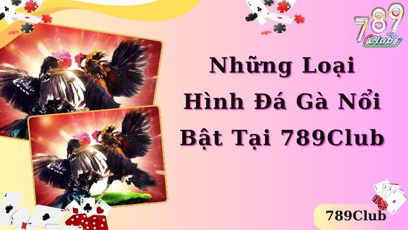 Những loại hình đá gà 789Club nổi bật nhất dành cho tân thủ