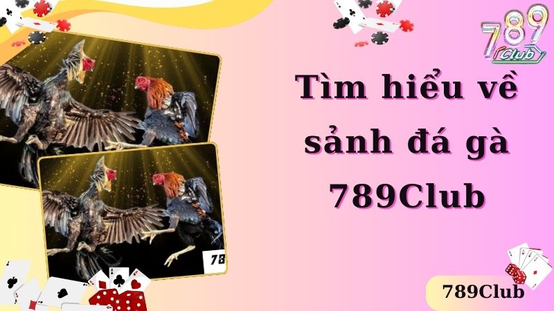 Tìm hiểu một số thông tin về sảnh cược đá gà 789Club