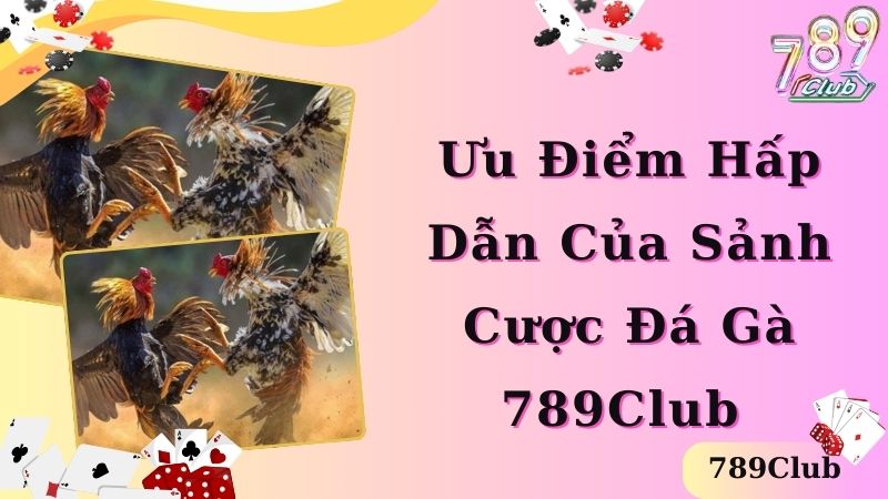 Ưu điểm nổi bật của sân chơi đá gà tại 789Club