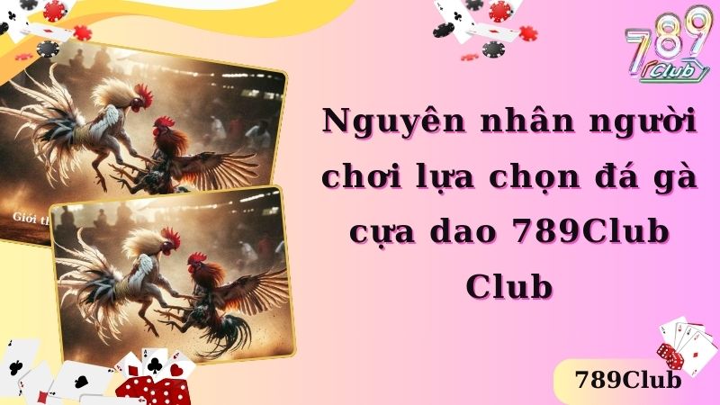 Lý do chọn đá gà cựa dao 789Club