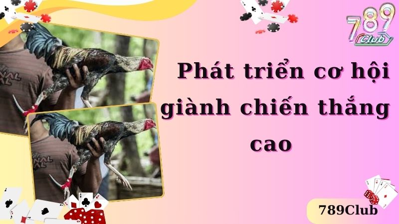 Phát triển cơ hội giành chiến thắng cao  